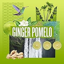 Dish Soap, Biodegradable Dishwashing Liquid made with Soap Bark and Aloe Vera,