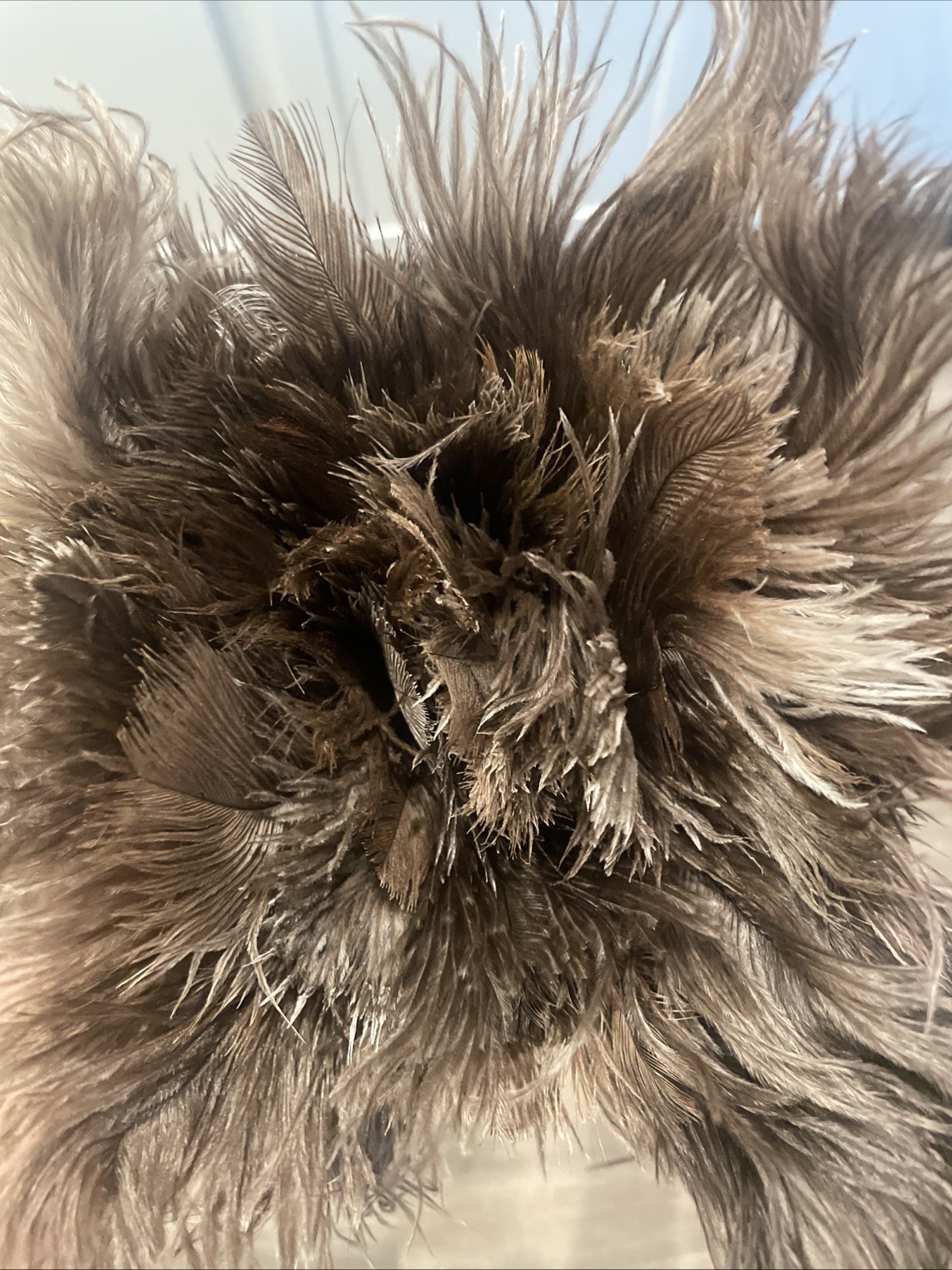 Extendable Ostrich Feather Duster 12-40 Inches Long Handle Reusable New in Box!