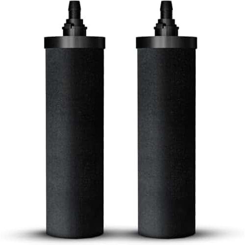 Dual Water Replacement Filters – 1 Set