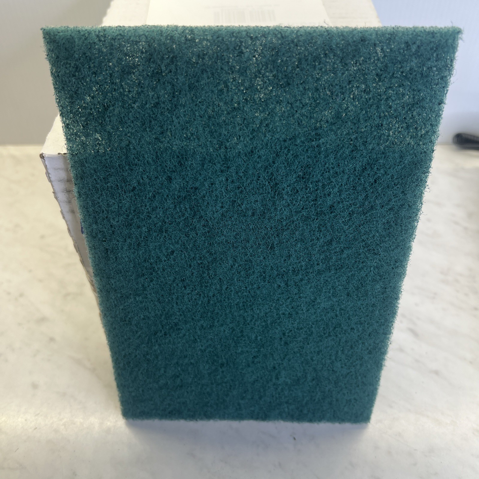 RENOWN Scouring Pads 20ct , Green, Medium Duty-REN02114 6”x9”