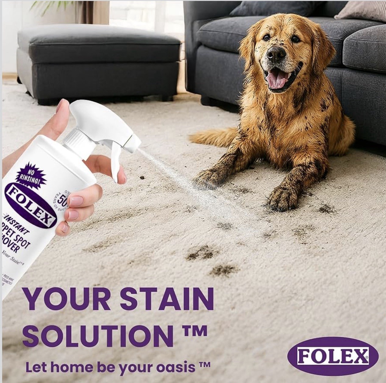 2 Pack Folex Instant Carpet Spot Remover – 32 oz – Removes Pet Accidents, Grease