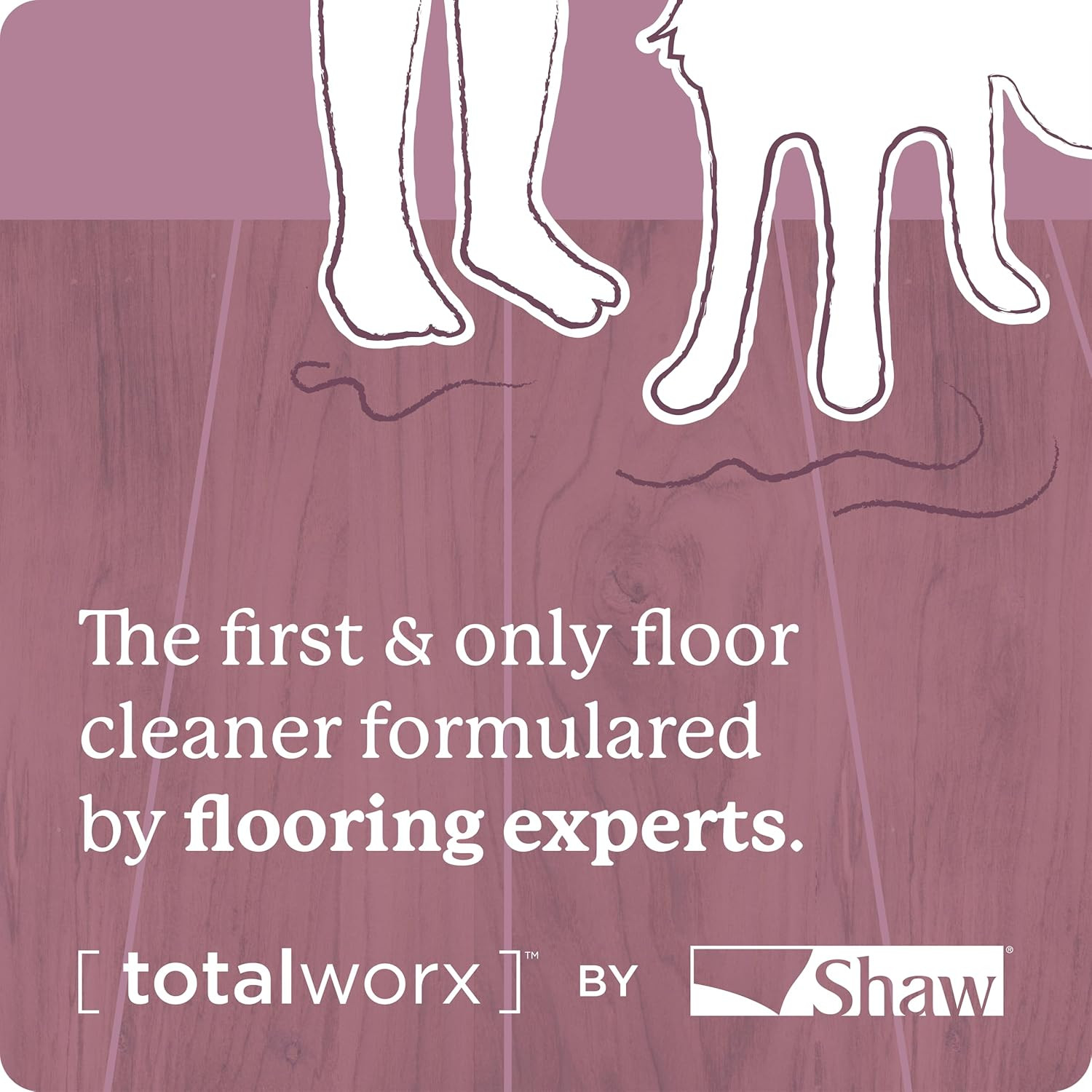 Carpet Cleaner| Stain & Soil Remover for Carpet, Rugs, Upholstery and MORE | PAC