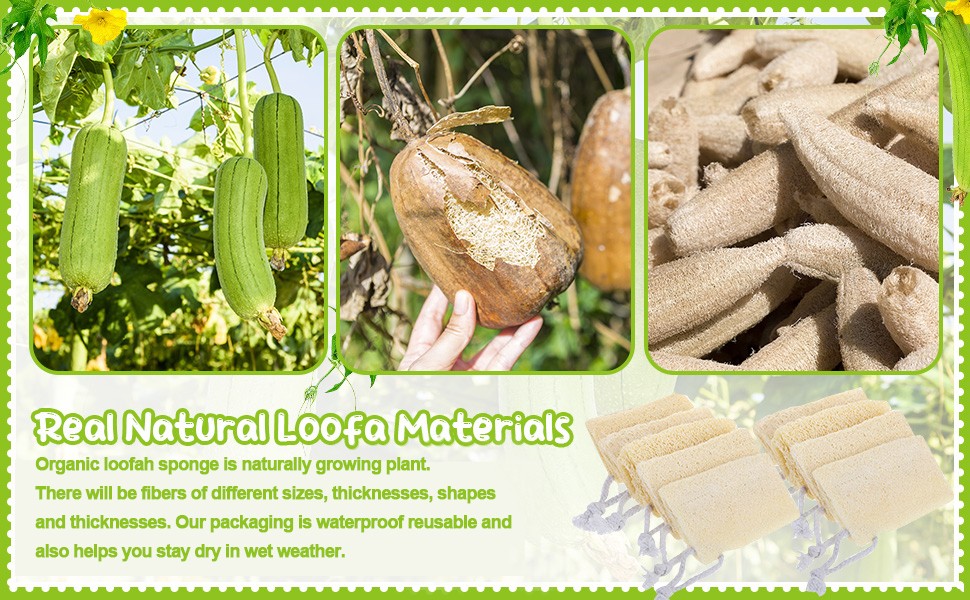 9 Pack 4”Natural Loofah Sponge Small Size Natural Organic Loofah for Kitchen