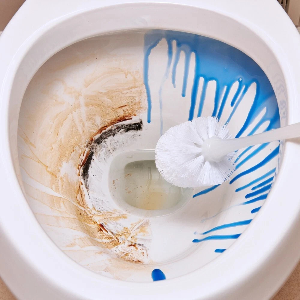 sno bol 24 ounce extra strength toilet bowl cleaner (50% stronger) pack of 3