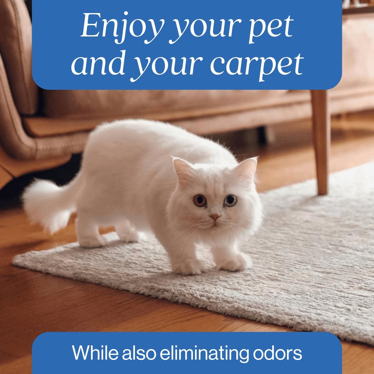 Oxygen Carpet Cleaner For Pet Stains Urine Odor Remover 32oz Spot Treatment