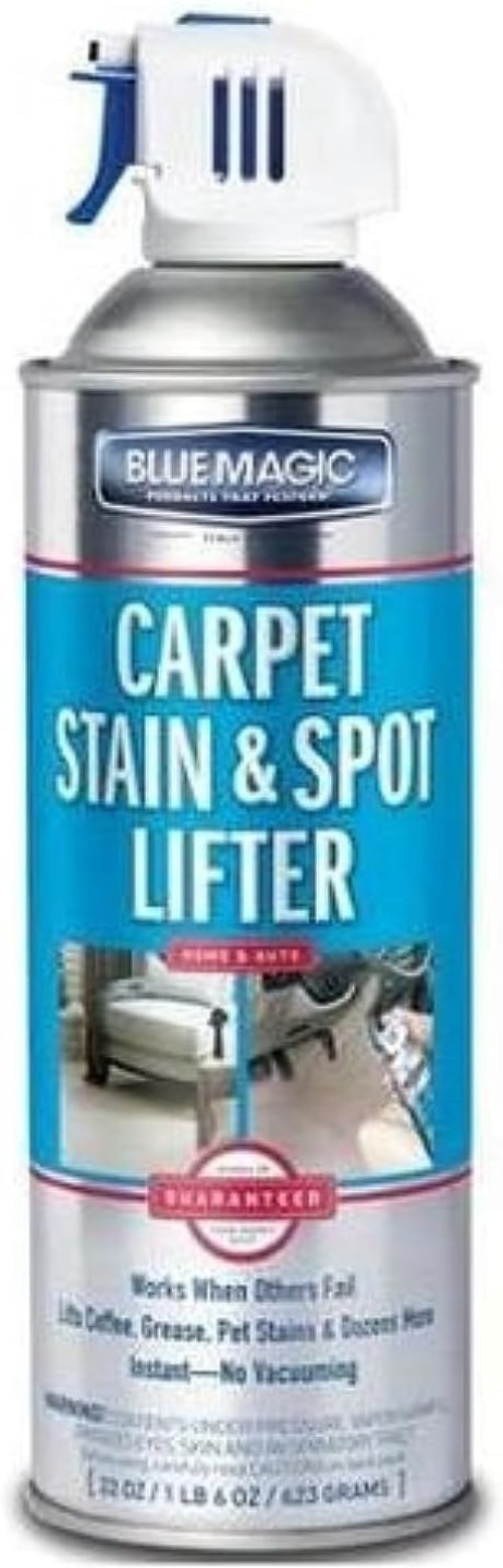 22 oz. Unscented Carpet Stain & Spot Lifter – Instant Cleaning Convenience