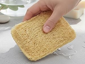 Natural Loofah Kitchen Sponge (3 Pack) – Natural Sponges for Dishes – Eco