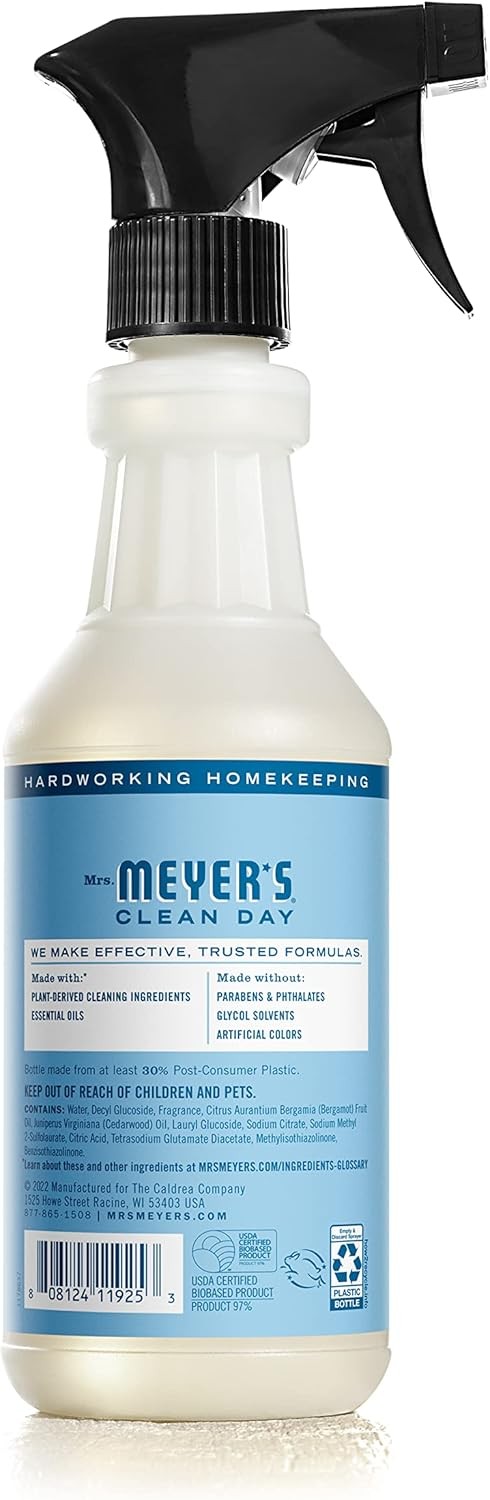 CLEAN DAY Multi-Surface Everyday Cleaner, Rain Water Scent, 16 Ounce Bottle