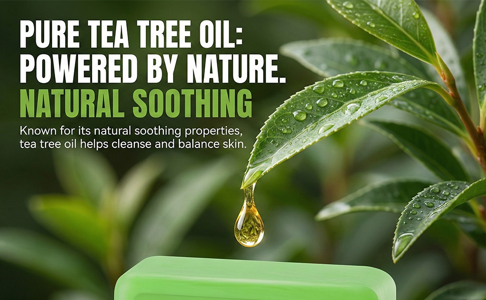 Tea Tree Oil Soap Bar for Face & Body, Natural Tea Tree Soap for
