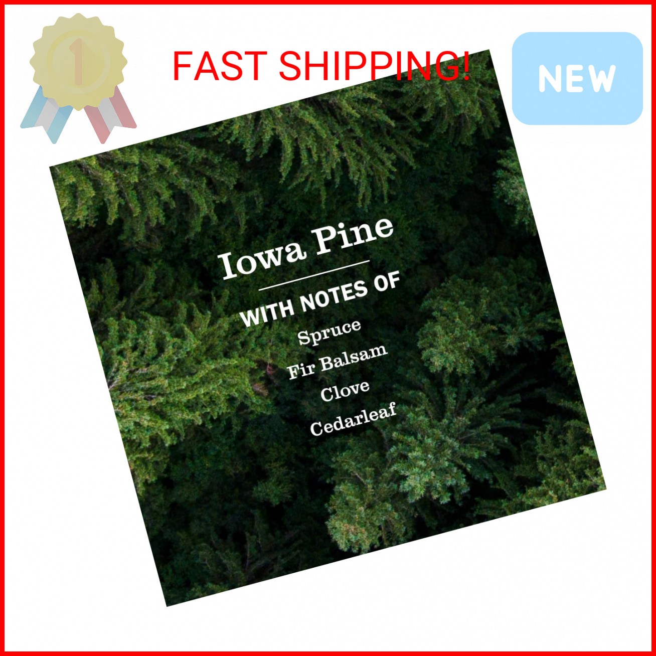 MRS. MEYER’S CLEAN DAY Liquid Dish Soap, Limited Edition Iowa Pine, 16 fl. oz
