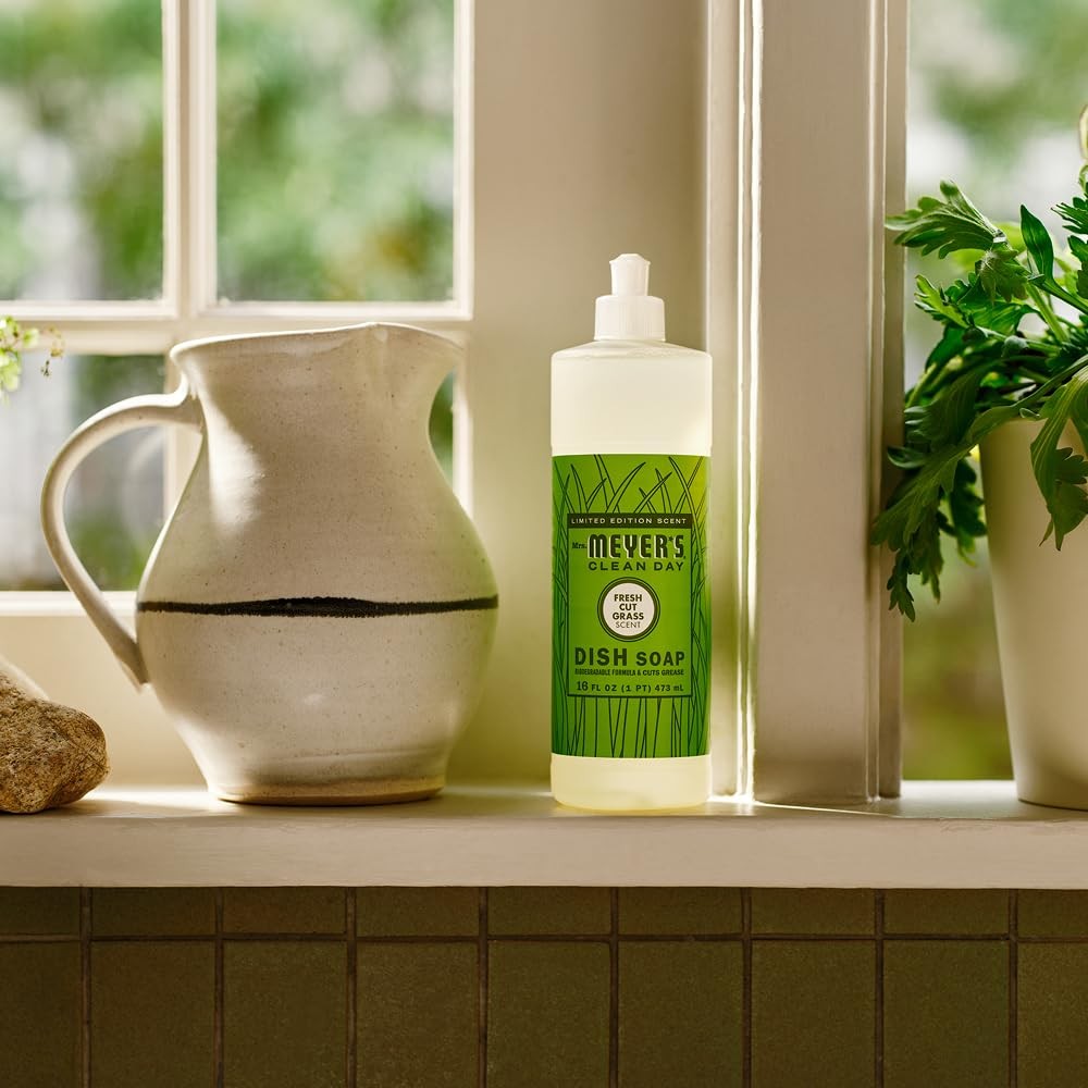 CLEAN DAY Liquid Dish Soap, Fresh Cut Grass Scent, 16 Ounce Bottle