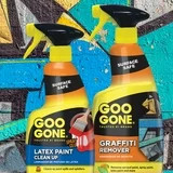 Graffiti Remover Spray Cleaner Aerosol Acrylic Paint 24 oz
