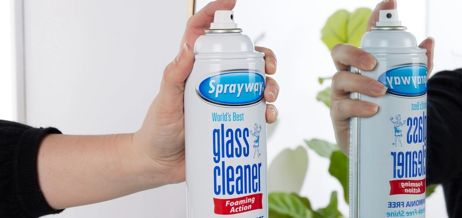Sprayway 23 oz Aerosol spray Glass Cleaner