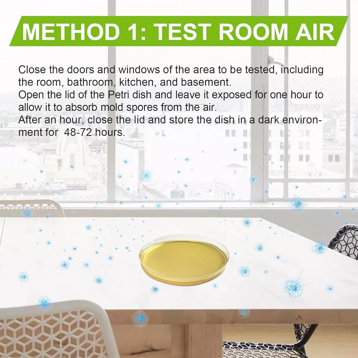 Mold Test Kit for Home – 5 Pack Individual Tests,Diy Detector at Home – New