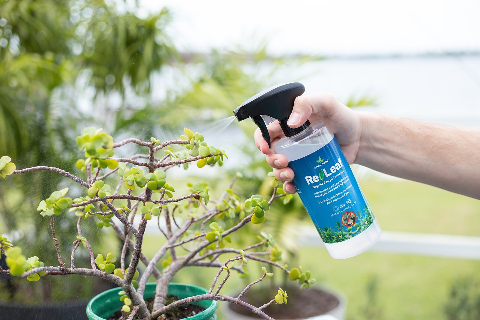 ReLeaf Fungal Spray Refill by BotanoGrow | Makes 3 x 16.9 oz Bottles | Organic