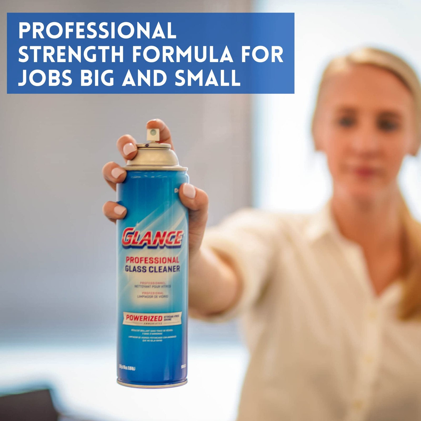 Powerized Professional Glass Cleaner, 19 Oz 101109731