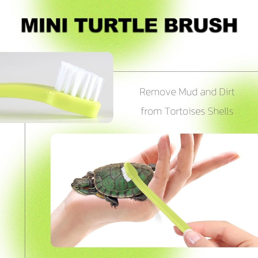 Turtle Shell Cleaning Brush Set 2 Piece Soft Nylon Bristles Suction Cup