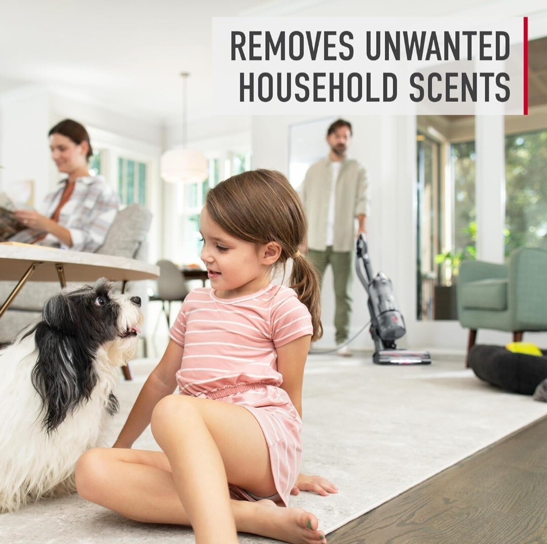 Hoover 32 Oz Carpet & Room Refresher Vacuum Powder (PACK Of 4)