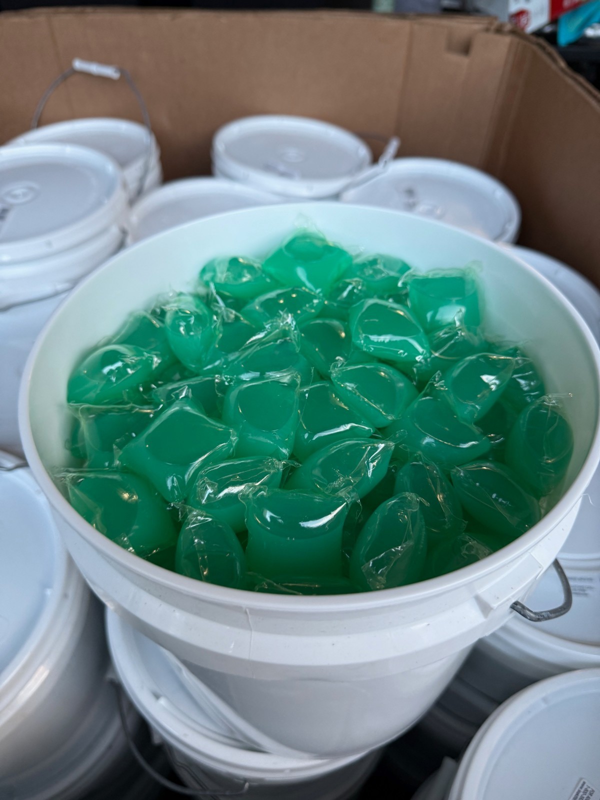 700 gain pods and 30 pounds of scent beads