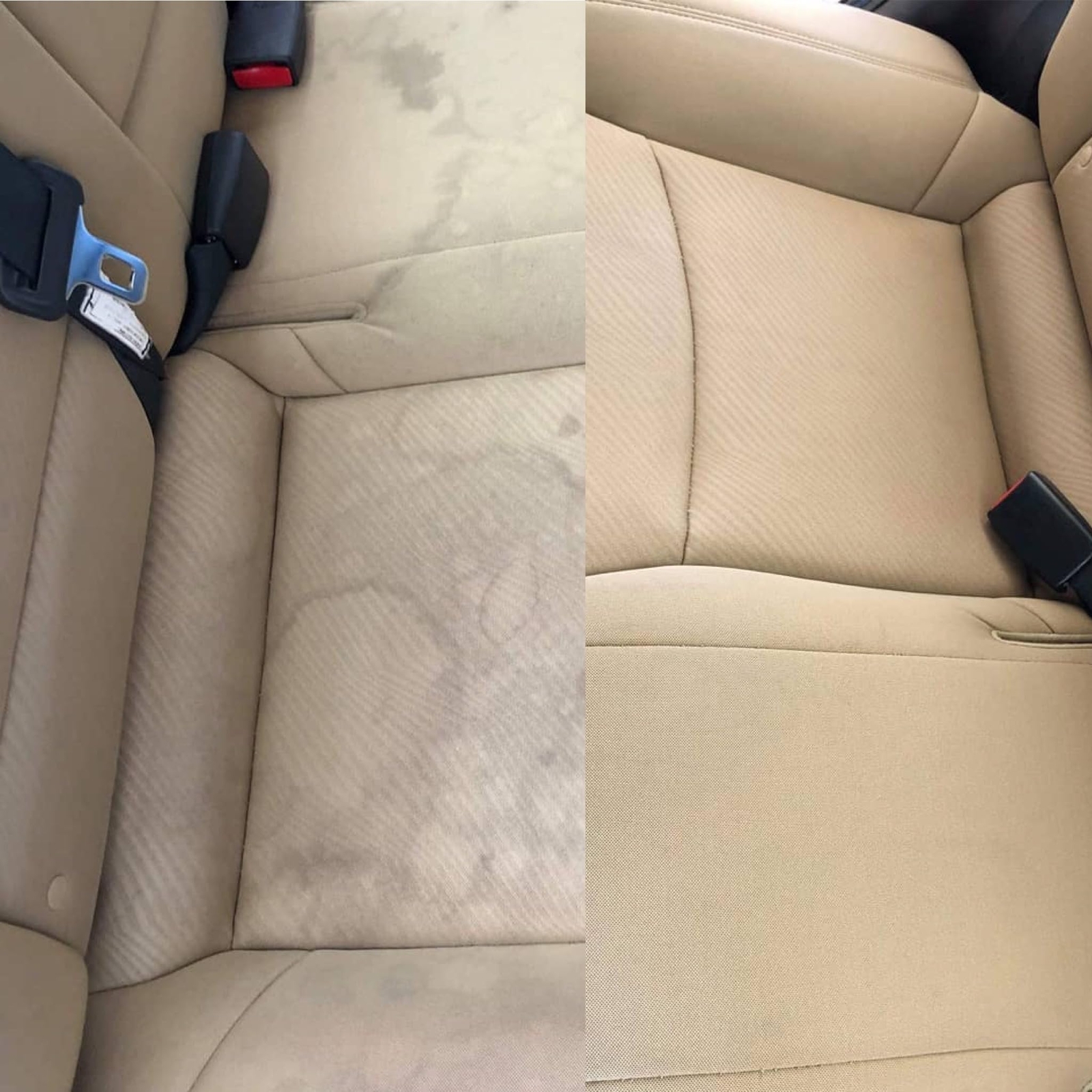 Legendary Interior Cleaner – Tough On Stains & Dirt – Safe For All Interior S…