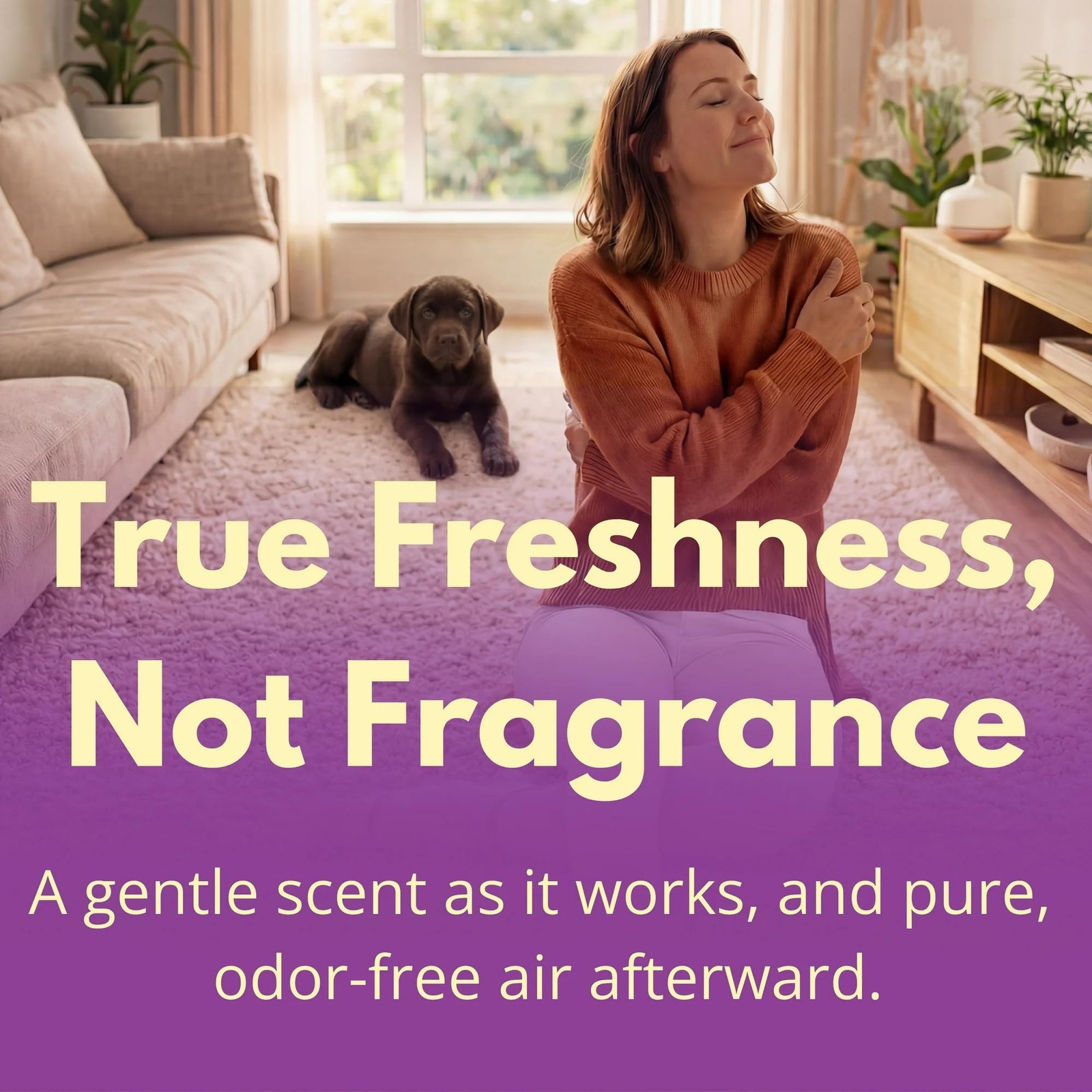 Carpet & Rug Dry Cleaner w/Brush – Carpet Deodorizer & Freshener Powder – Spo…