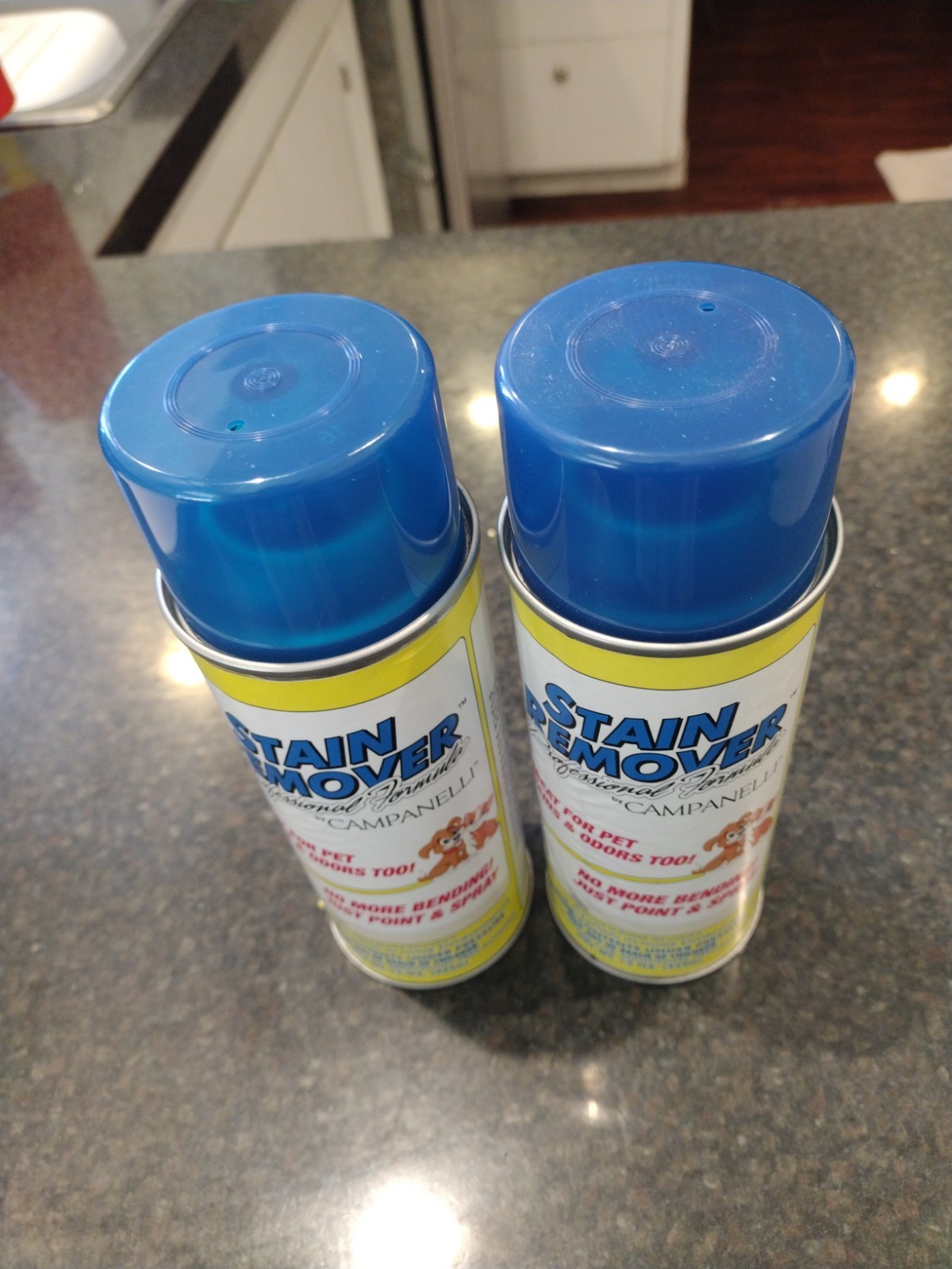 Campanelli Professional Formula Stain Remover 2PACK Point & Spray 15oz Pet Odors