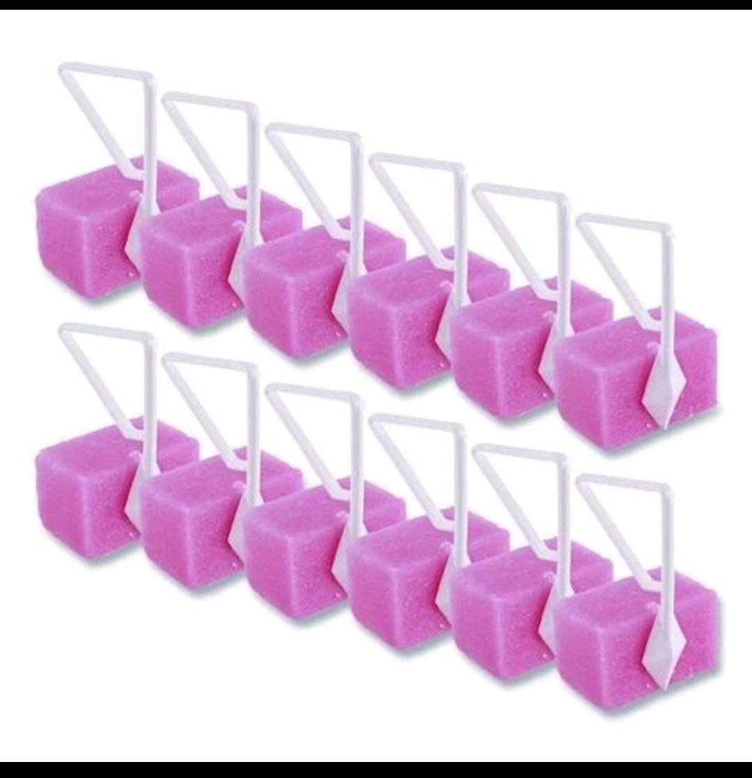 Toilet Bowl Deodorizer Block Cherry Scented 12 Pack