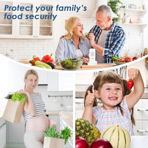 Fruit & Vegetable Purifier Cleaner – Capsule Shape Disinfection Machine, OH-ion