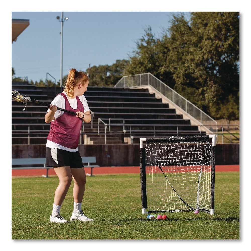 Champion Sports MLG 3 ft. x 3 ft. 1.5 in. dia. Frame Mini Lacrosse Goal New