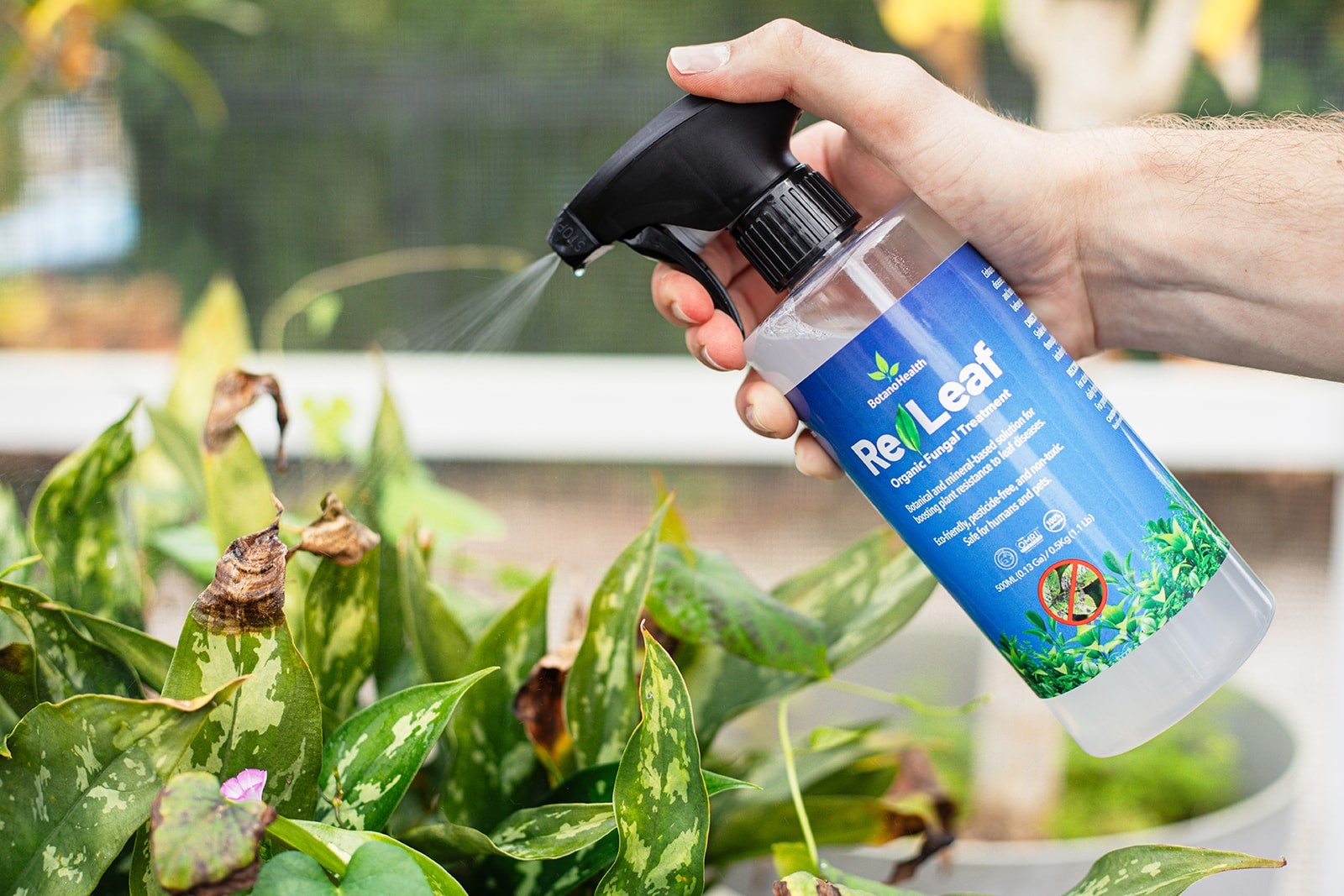 ReLeaf Fungal Spray Refill by BotanoGrow | Makes 3 x 16.9 oz Bottles | Organic