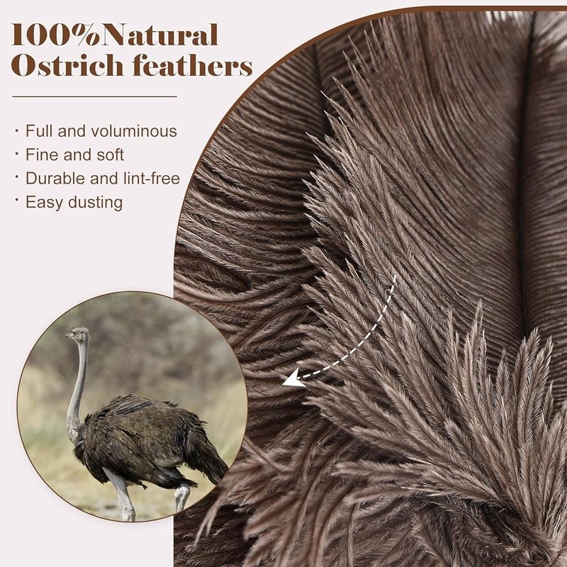 High Quality Ostrich Feather Duster Lightweight Soft Cleaning Tool Home Office
