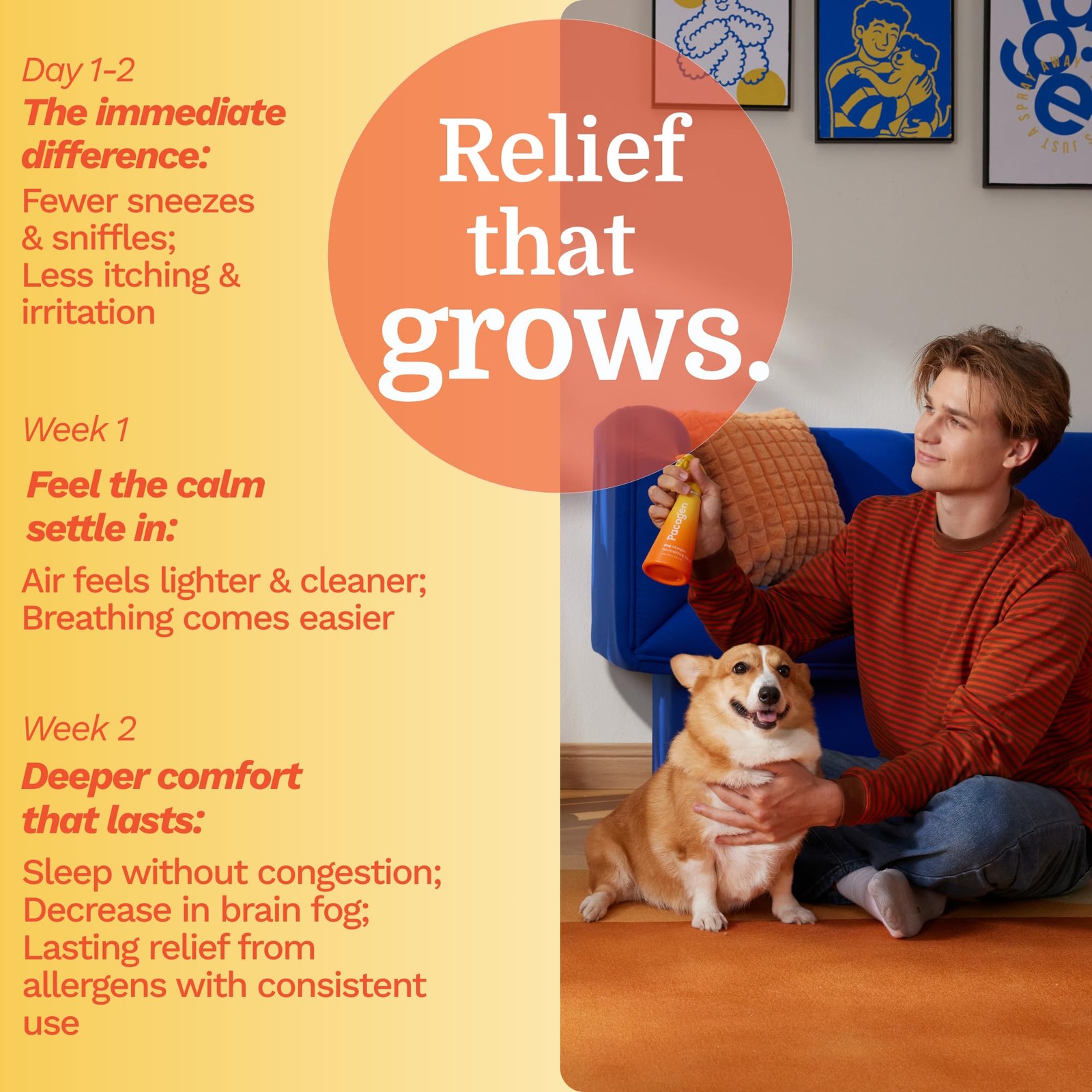 Dog Allergen Neutralizing Spray for Humans – Perfect for Home Use, Immediate …