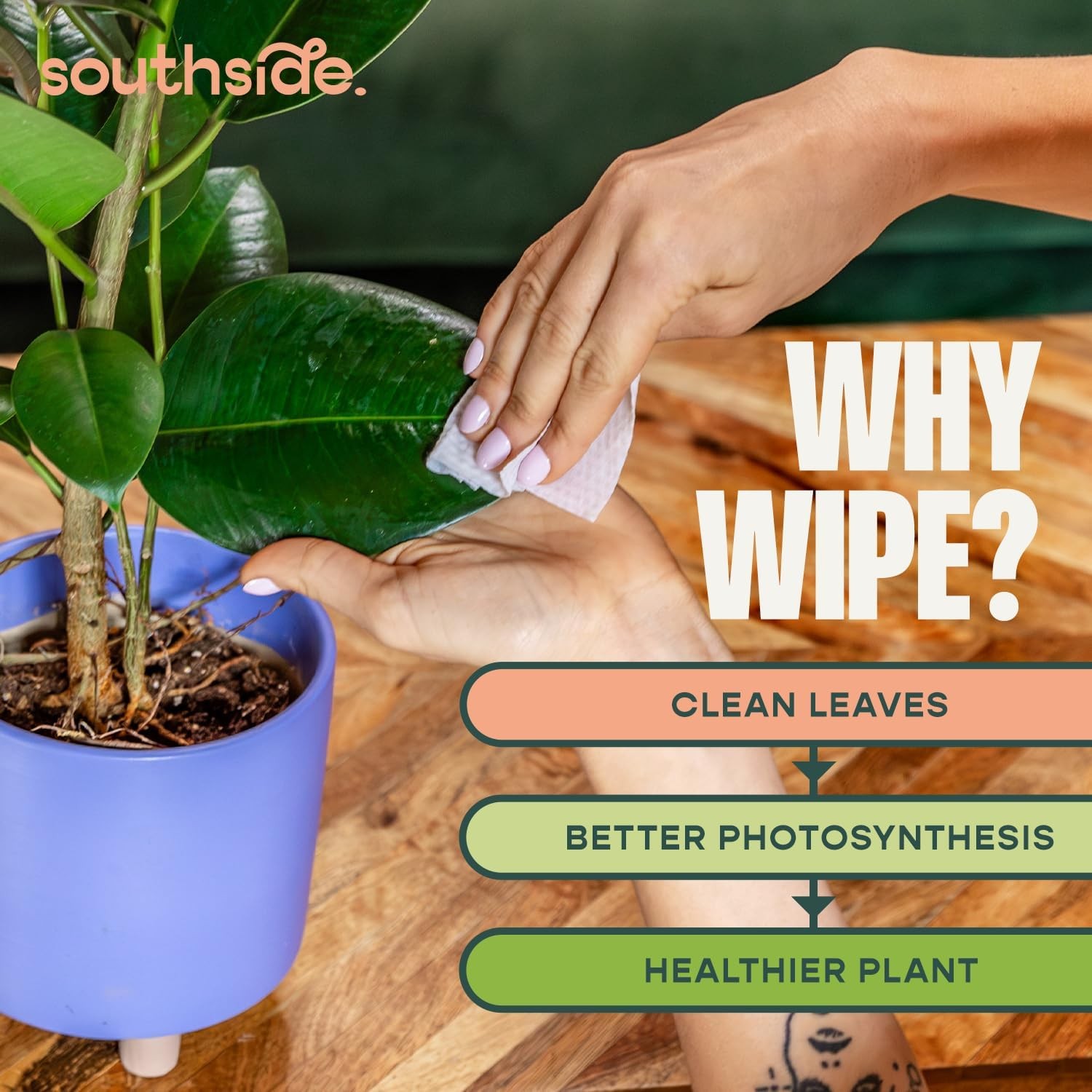 Southside Neem Oil Plant Wipes – 80 Ct Unscented Plant-Based Leaf Cleaner