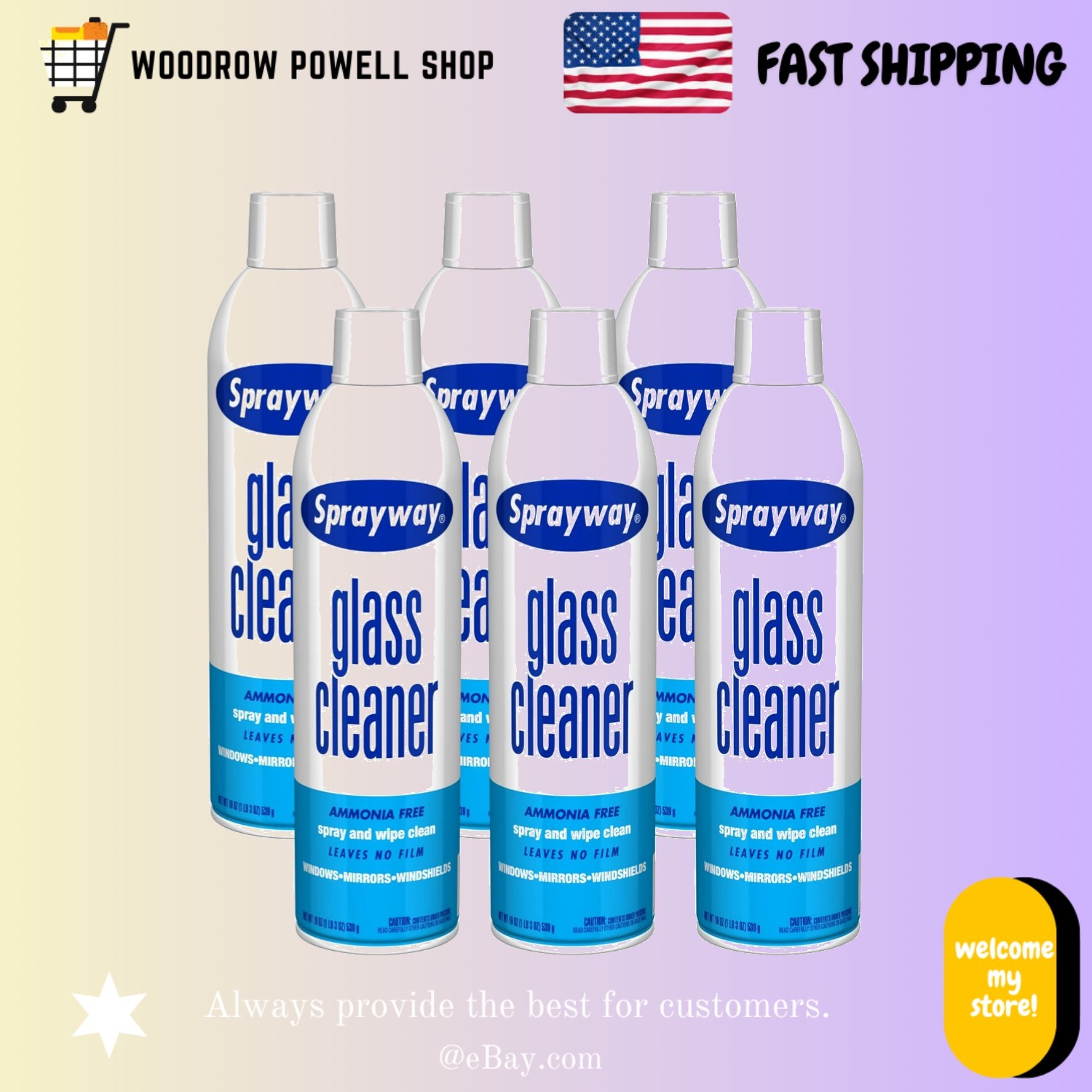 6 Pack Foaming Glass Cleaner 19oz Streak Free for Home & Automotive Use