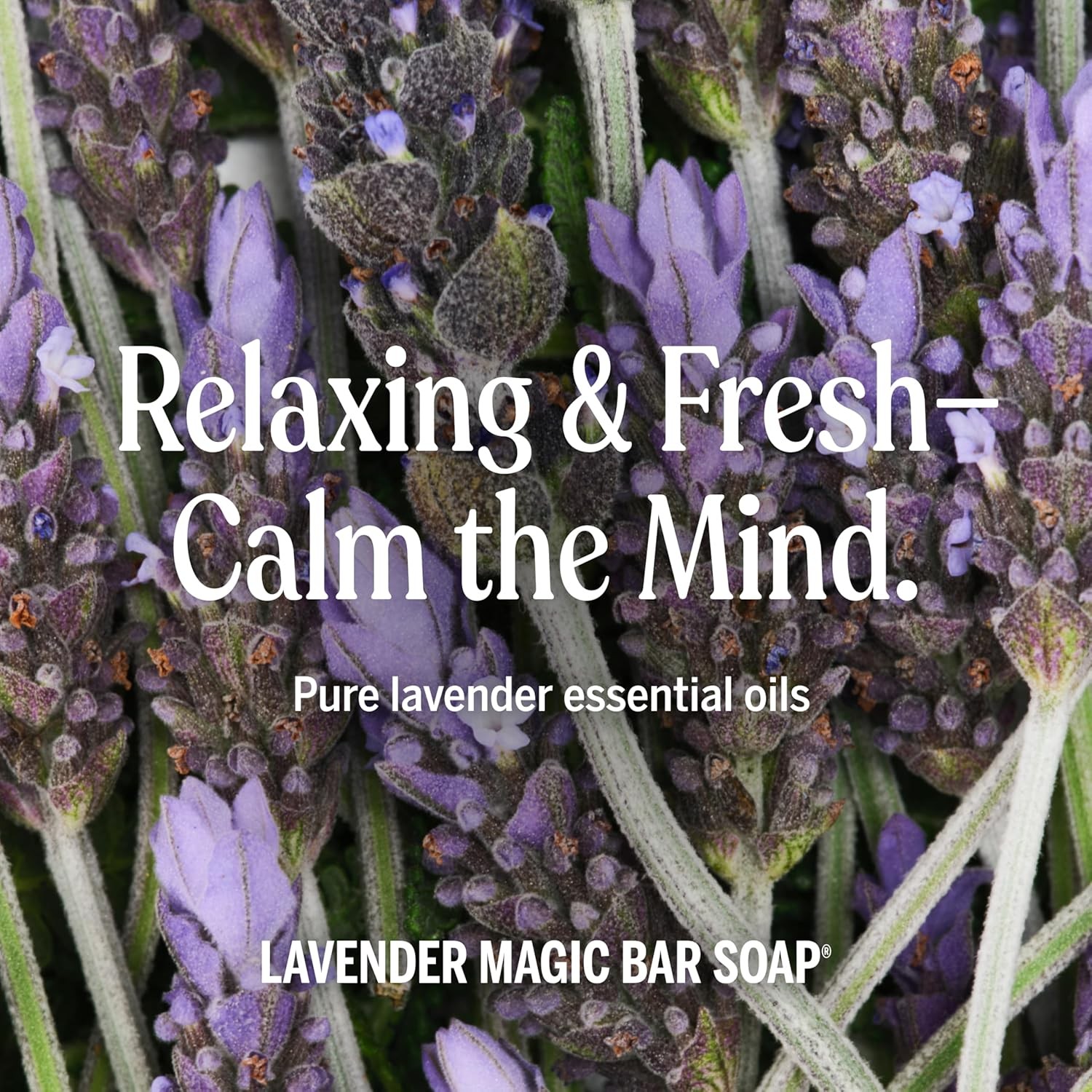 Pure-Castile Magic Bar Soap – Made with Regenerative Organic Certified Oils –