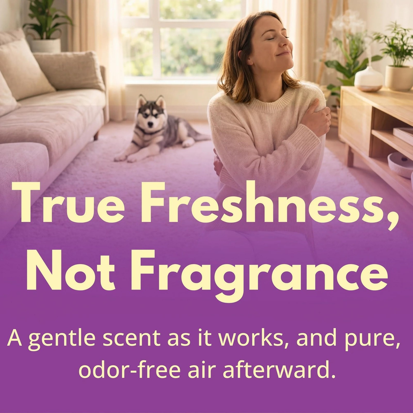 Carpet & Rug Dry Cleaner: Carpet Deodorizer & Freshener Powder – Pet Odor Eli…