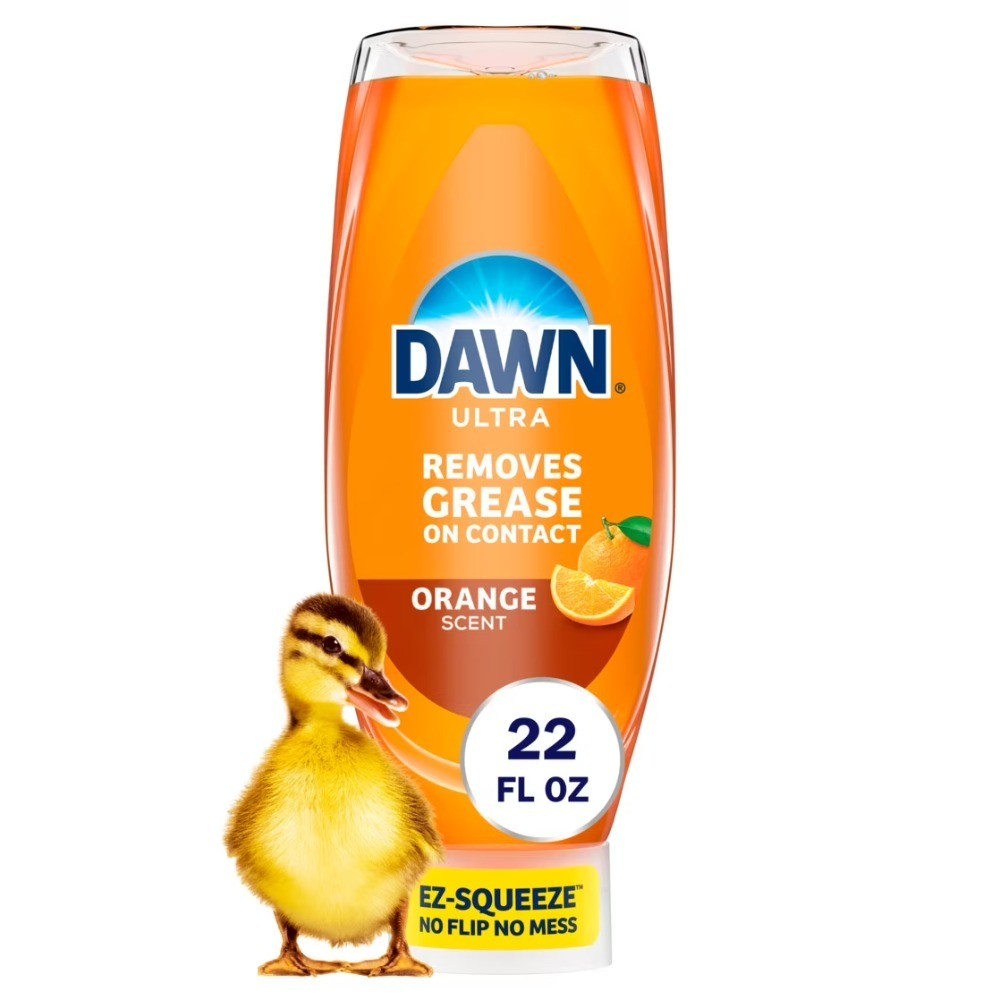 Ultra Concentrated Orange Dishwashing Liquid Soap 22 oz EZ Squeeze Bottle