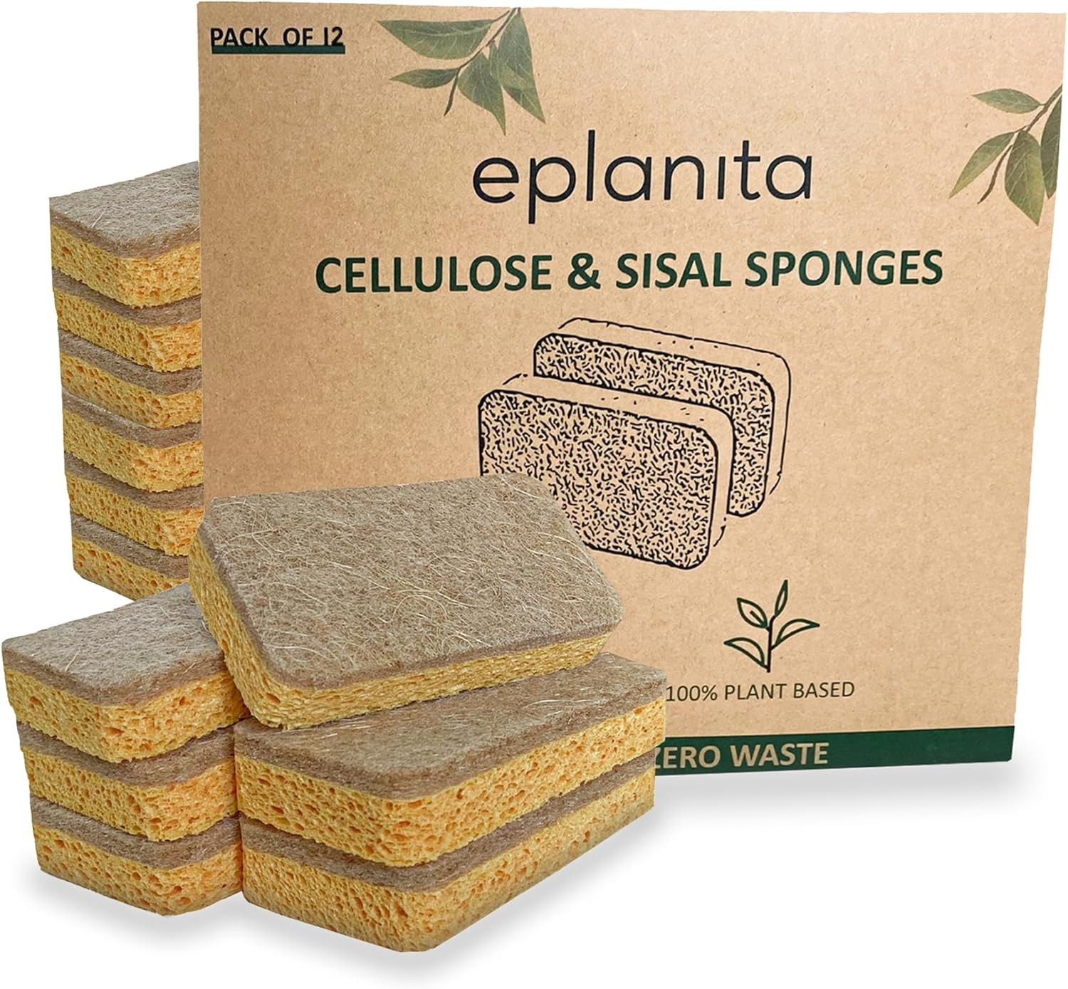Natural Plant Based Scrub Sponges (12 Pack), Non-Scratch, Biodegradable Eco