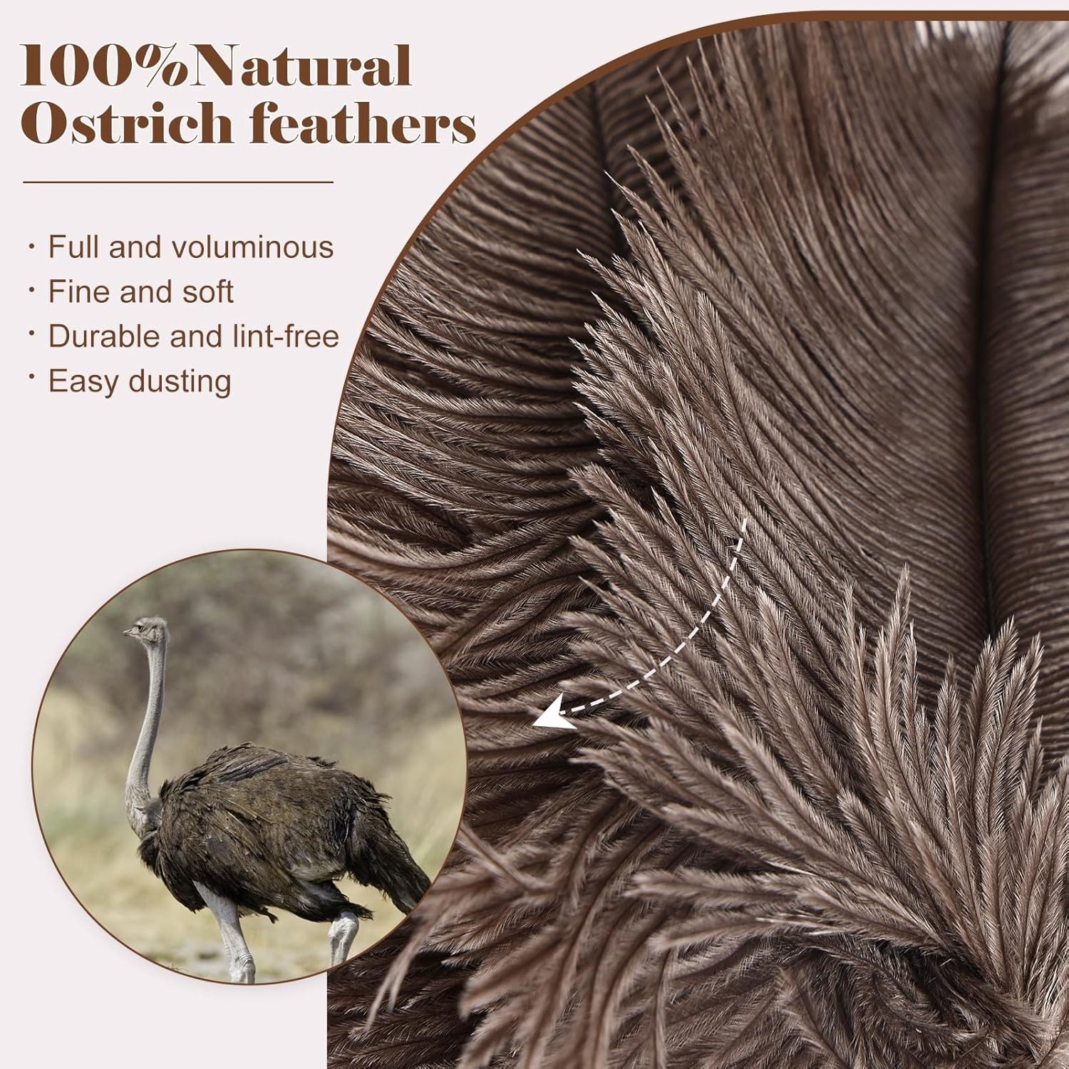 Fluffy Mini Ostrich Feather Duster 14.9-Inch – Perfect for Delicate Surfaces