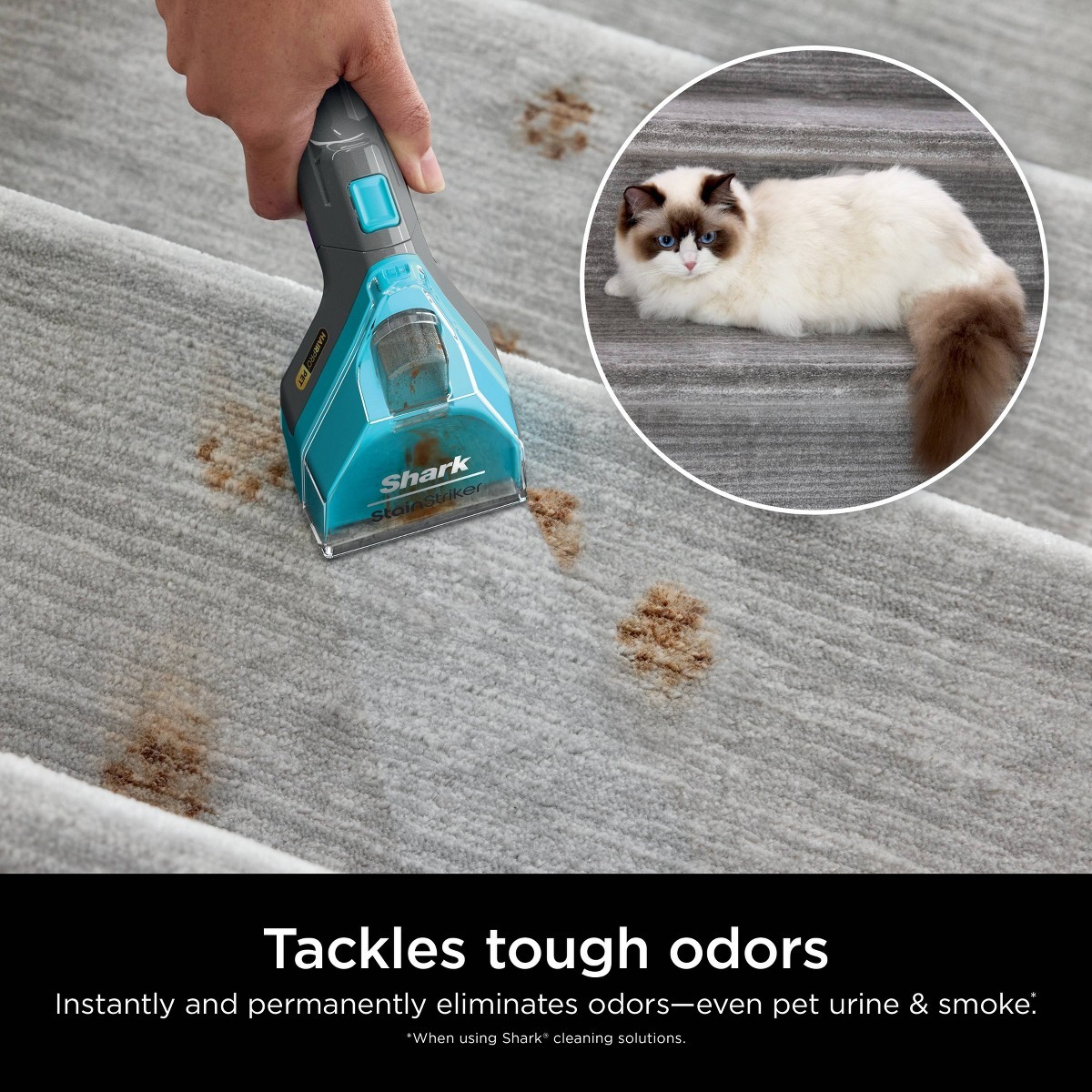 Shark CarpetXpert Deep Clean Pro Formula 48oz: Carpet & Upholstery Cleaner