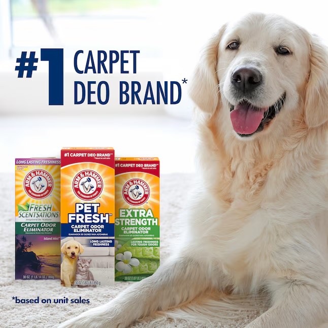 Arm & Hammer Carpet cleaner Deodorizing Powder 42.6-oz