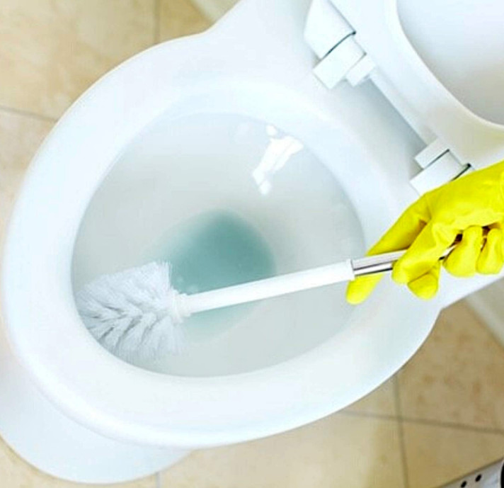 Zep Professional strength Acidic Gel Toilet Bowl Cleaner (32 fl oz) pack 2