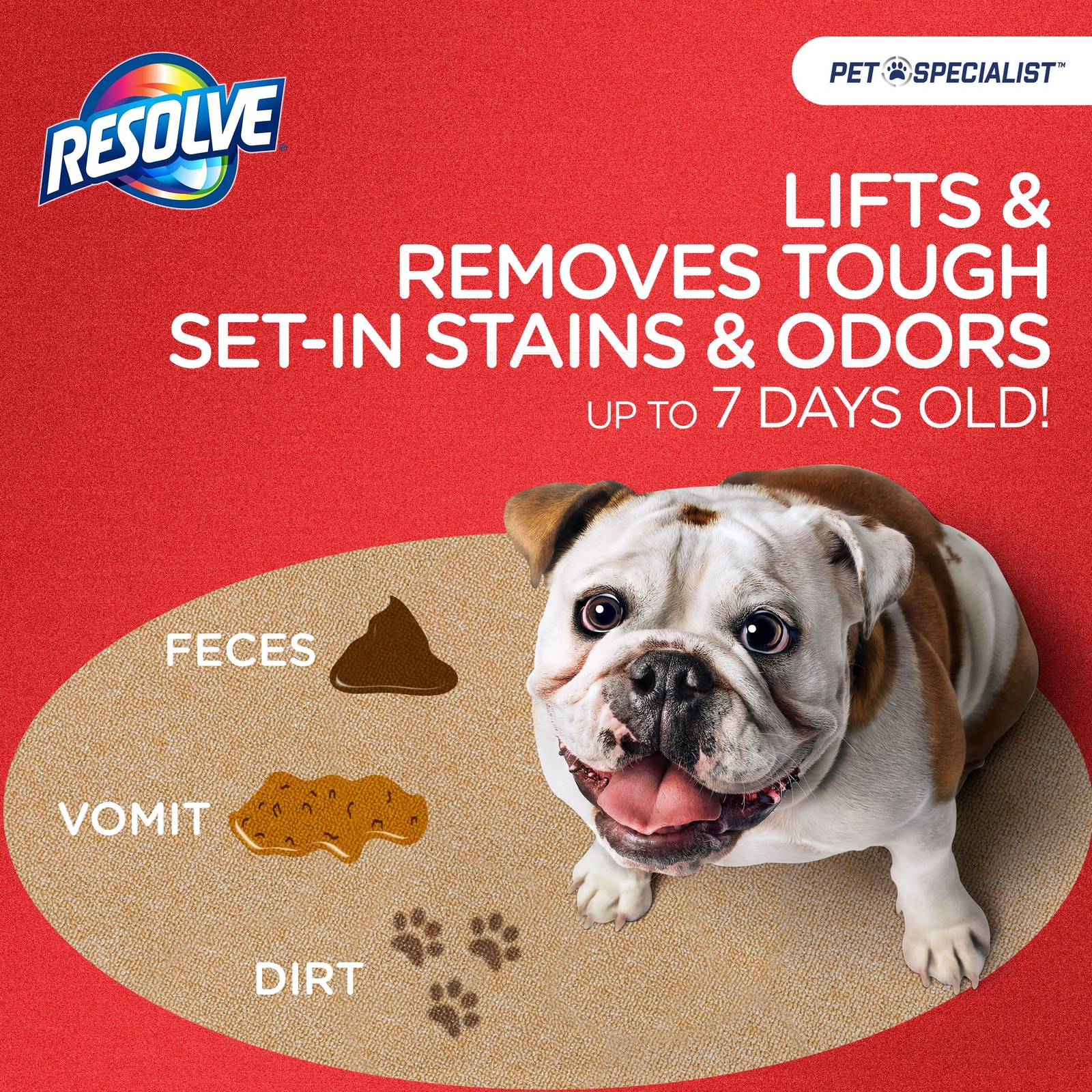 Resolve Pet Specialist Heavy Traffic Foam Carpet Cleaner 22 Fl Oz Pack of 2