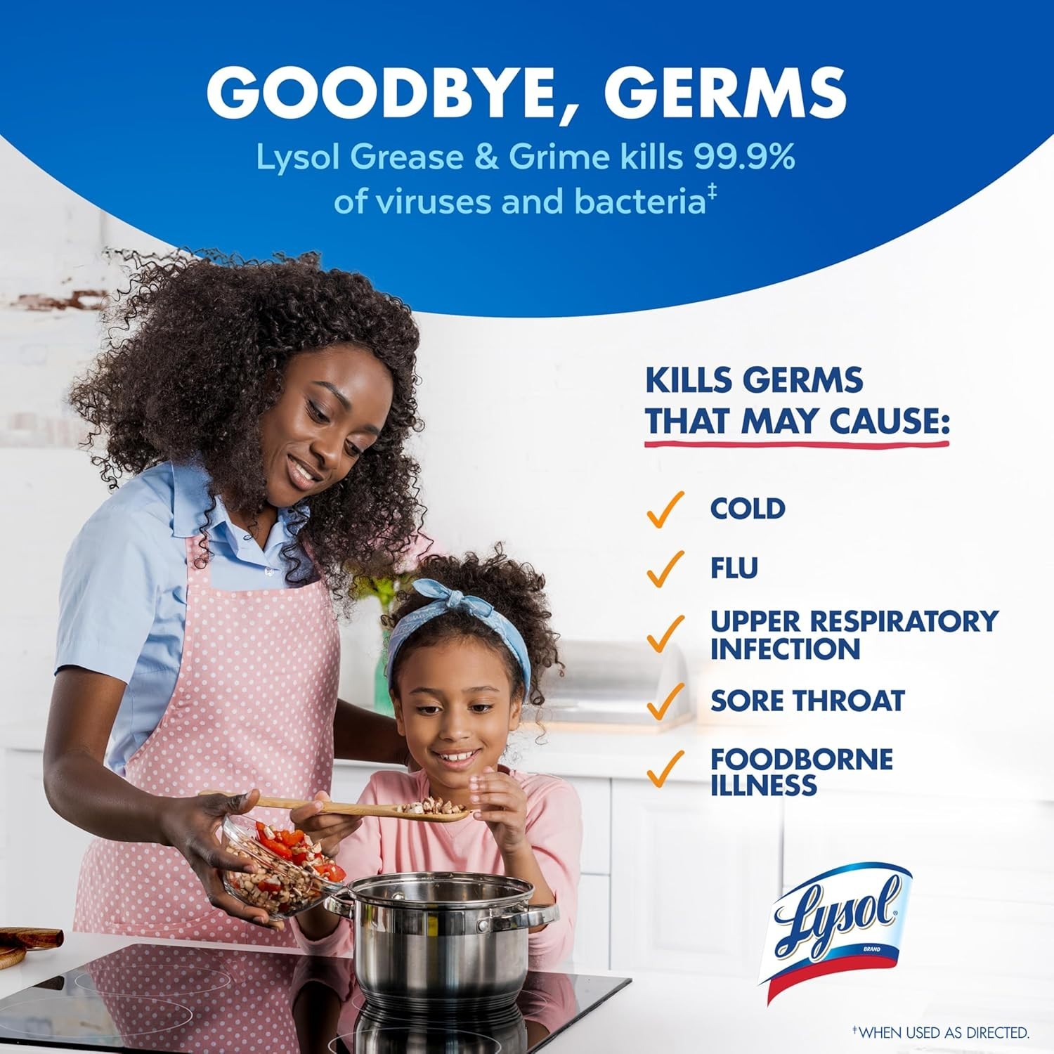 Lysol Pro Kitchen Spray Cleaner and Degreaser 22oz (Pack of 2)