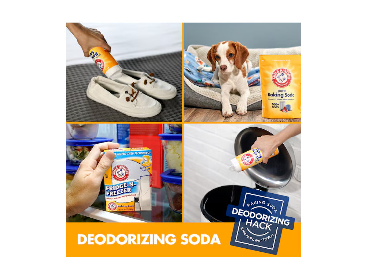 Arm & Hammer Air Freshener Aerosol Spray 14 oz Odor Eliminator Freshener