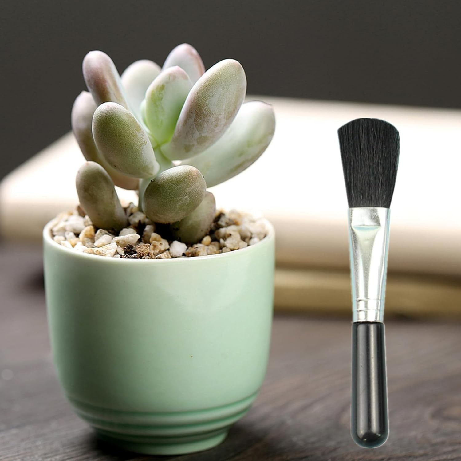 Elegant Black 2-Pc Duo: Plant Leaf Cleaner & Miniature Moss Brush for Gardens