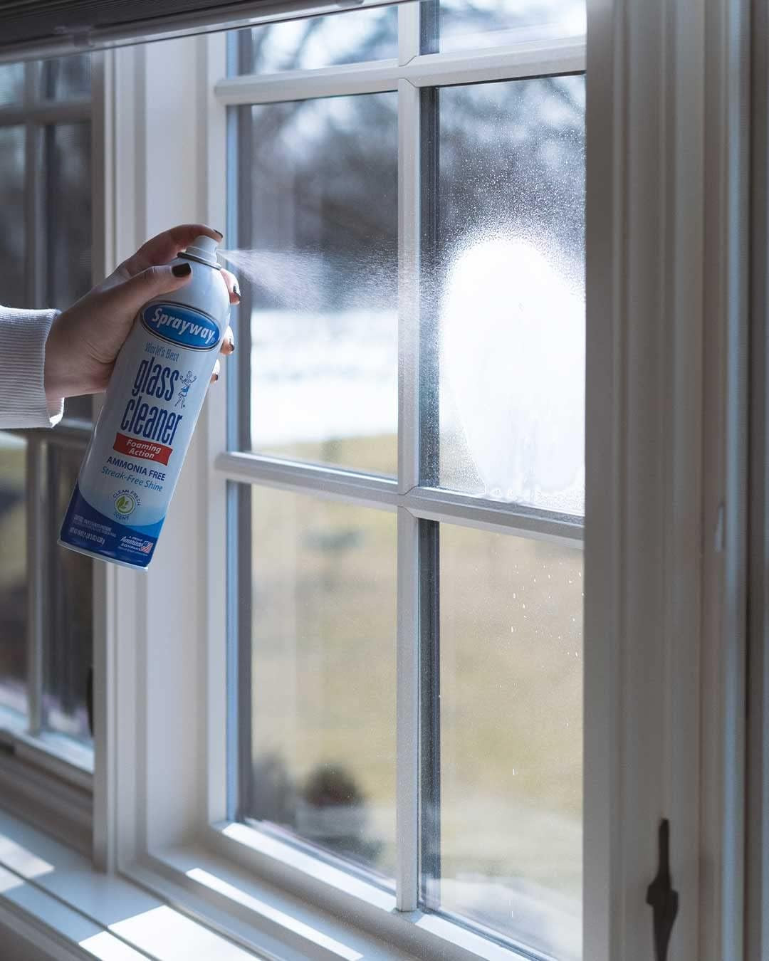 Sprayway SW050-12 Glass Cleaner 19 Oz Pack of 12 Cleaning Products Household