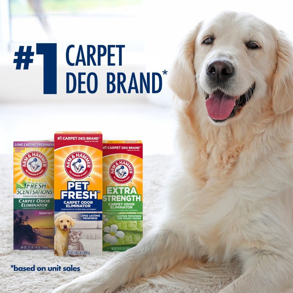 Carpet & Room Extra Strength Odor Eliminator – 42.6oz
