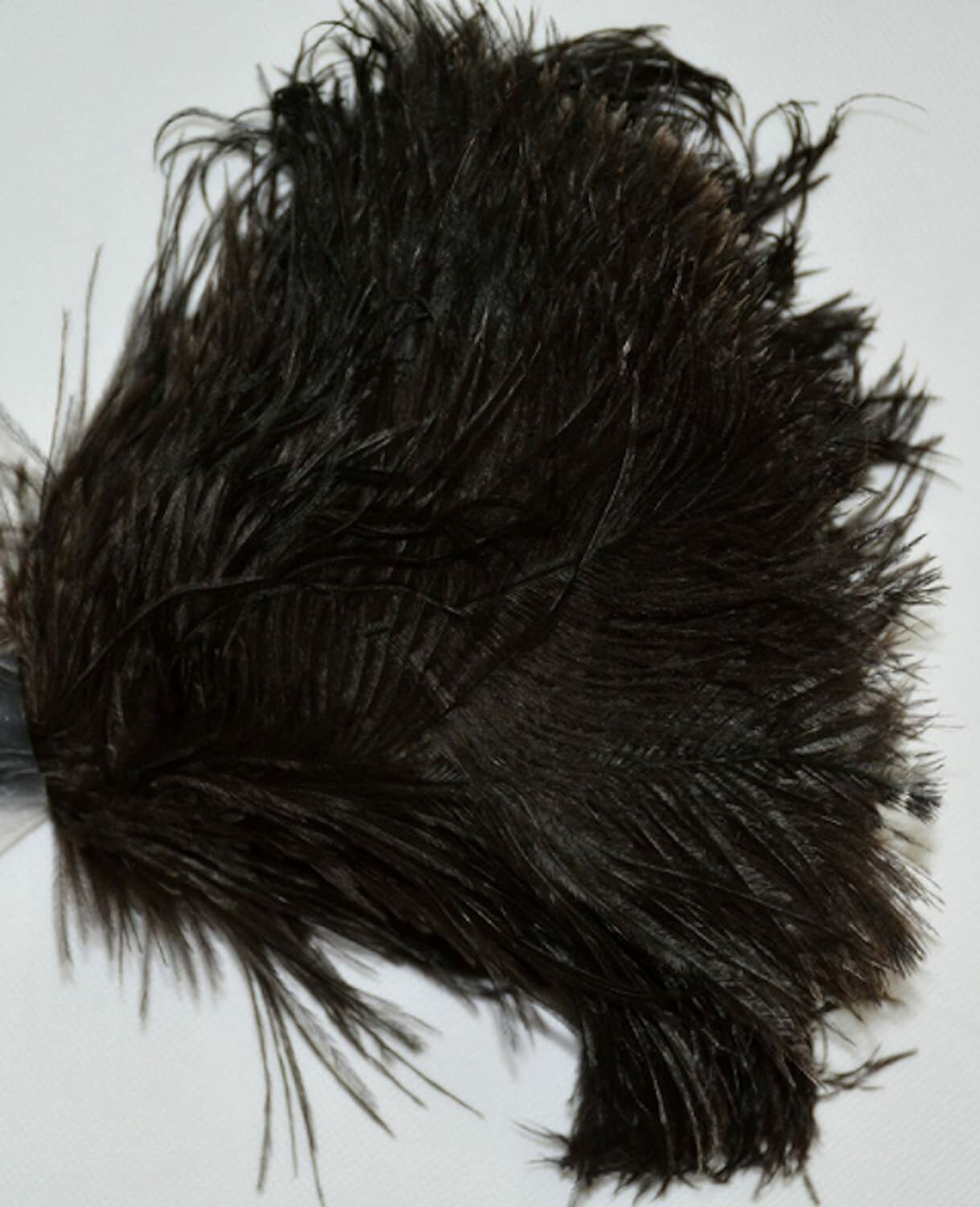 GM Ostrich Feather Duster (Sizes: 14″, 16″, 22″, 28″) Feather Color: Black