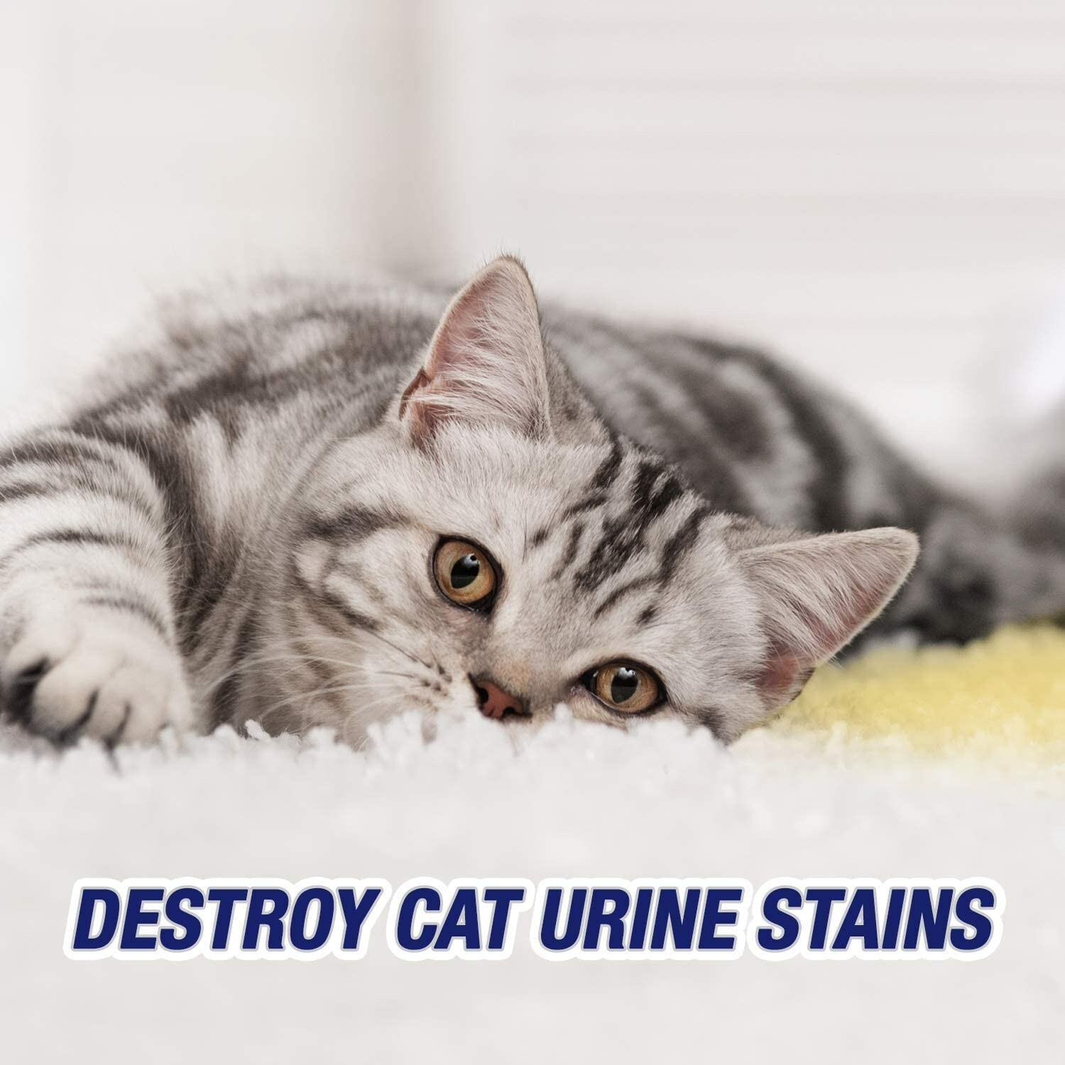 Resolve Urine Destroyer Spray Stain & Odor Remover, Transparent, No Flavor, 32 F